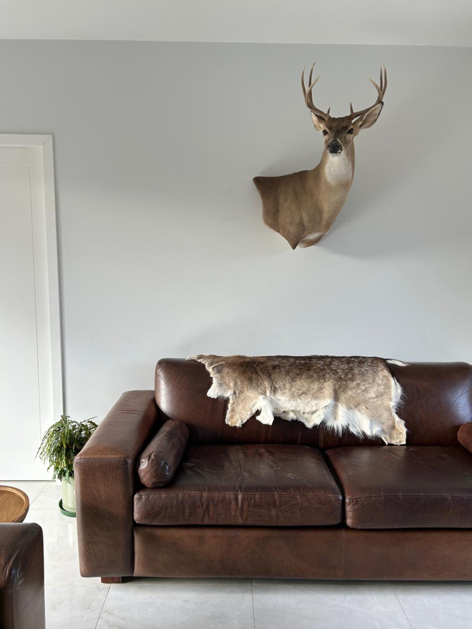 Tarras Countryside Retreat - Near Tourist Route Apartment Bagian luar foto