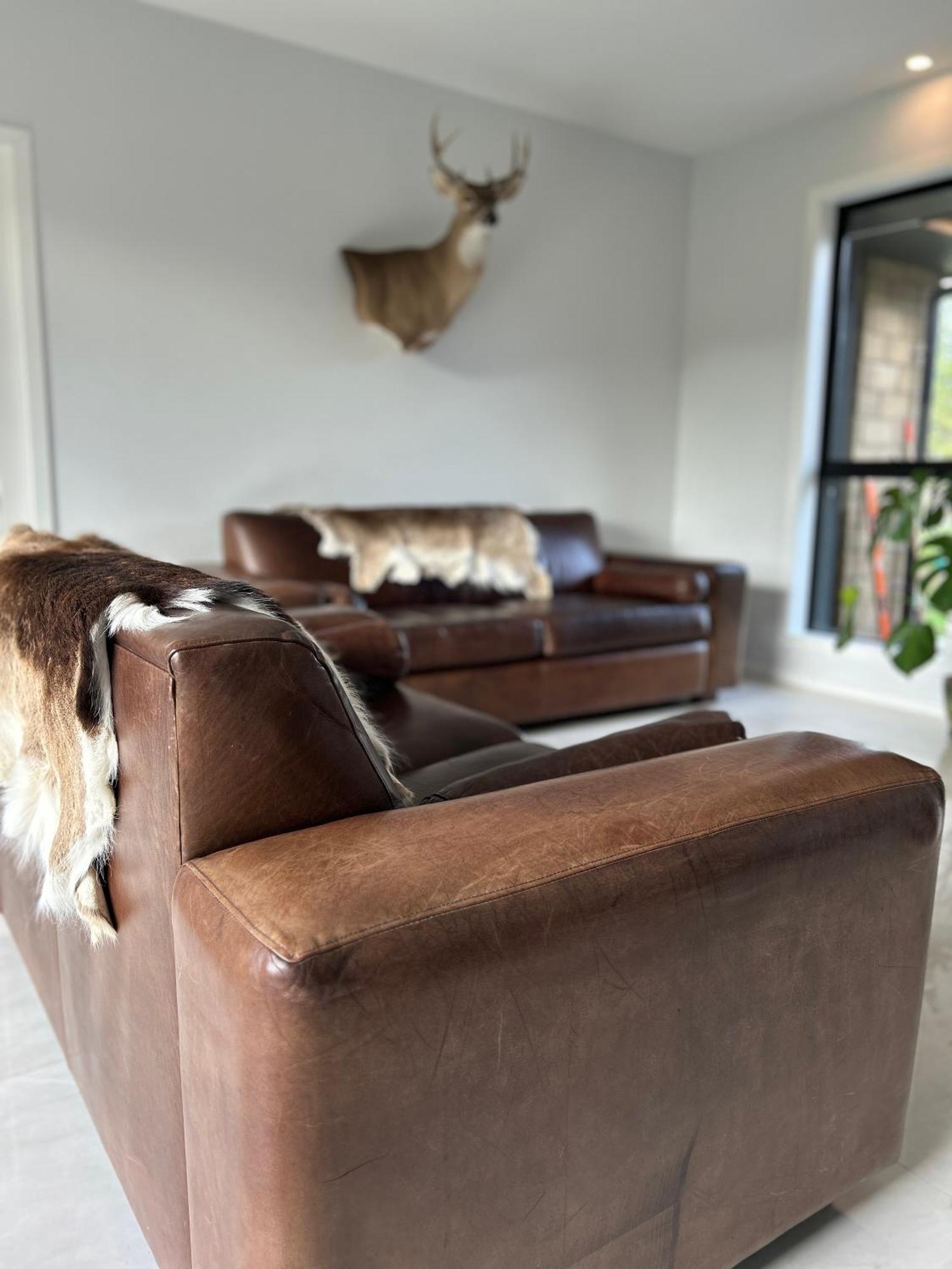 Tarras Countryside Retreat - Near Tourist Route Apartment Bagian luar foto